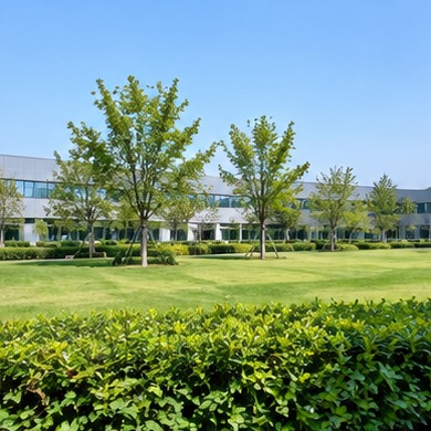 厂区绿化配置展示