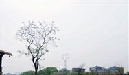 社区服务中心将组织开展夏季环境卫生集中整治工作