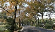 生活资讯门户如何做好女性时尚内容？