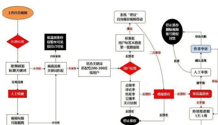 新手轻松快速掌握抖音推荐算法核心技巧-第2张图片-小七抖音培训 新手轻松快速掌握抖音推荐算法核心技巧-第2张图片-小七抖音培训