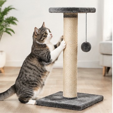 猫咪抓板用品示意