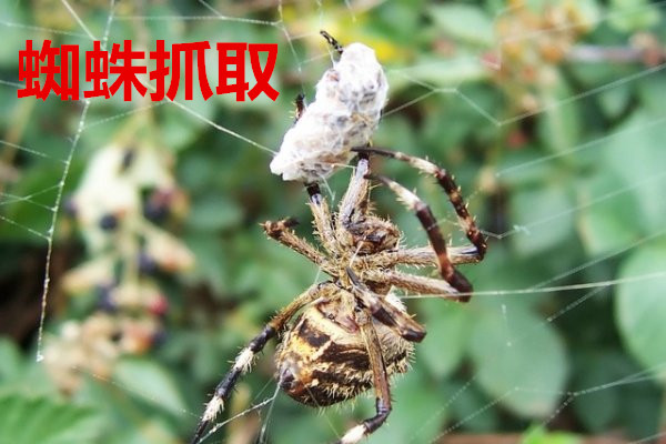 浅谈企业对于半导体设备采购存在的四个误解
