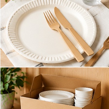 纸盘与餐具示意