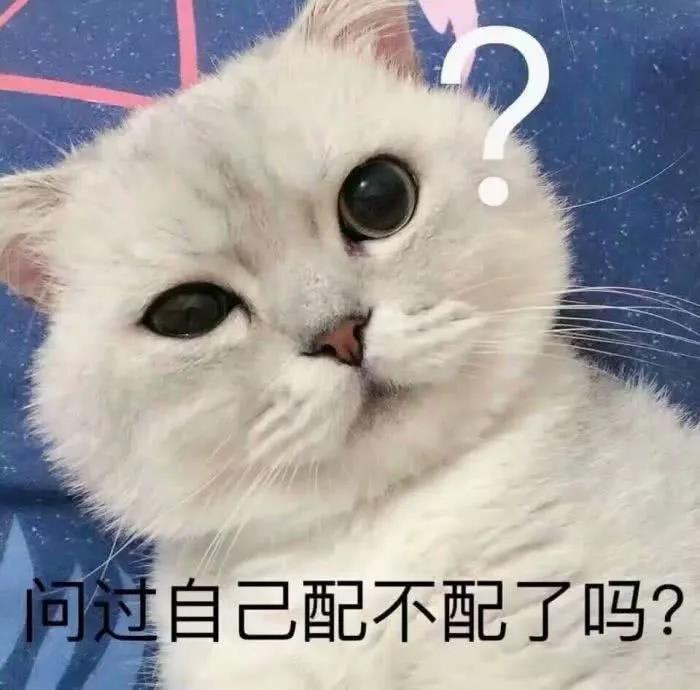 “好奇猫奶是什么味道,有人和我一样喝过猫奶吗?”