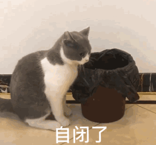 “好奇猫奶是什么味道,有人和我一样喝过猫奶吗?”