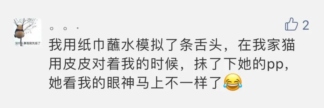 “好奇猫奶是什么味道,有人和我一样喝过猫奶吗?”