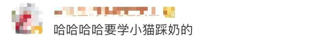“好奇猫奶是什么味道,有人和我一样喝过猫奶吗?”
