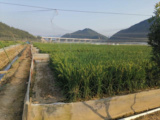 会员动态：协会走访与交流活动简讯
