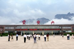 客厅贝壳粉墙面案例