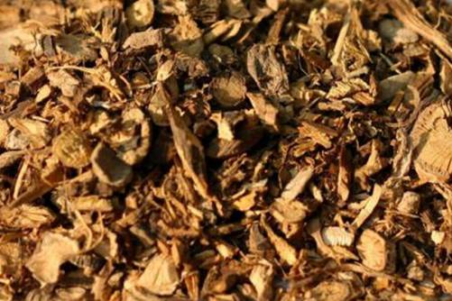 教你慧眼辨别蝙蝠葛,蝙蝠葛的功效介绍