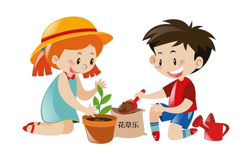 不同的季节怎样对盆景施肥?饼肥应如何使用?