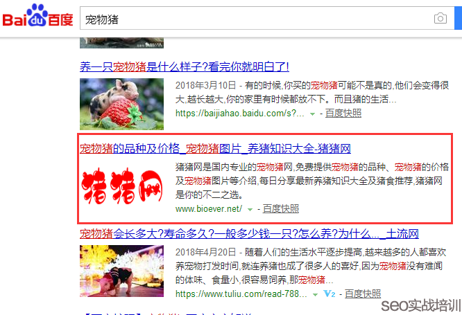 SEO培训案例:万变不离其宗的SEO排名,细节、思路、方法!